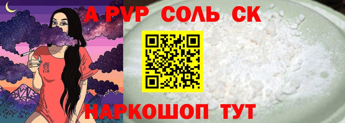Alfa_PVP СК КРИС Пенза