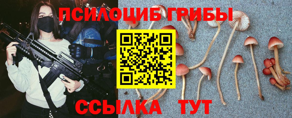 Галлюциногенные грибы мухоморы Пенза